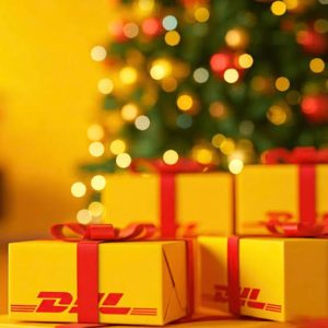 Categorie 14 Il Nostro Regalo di Natale